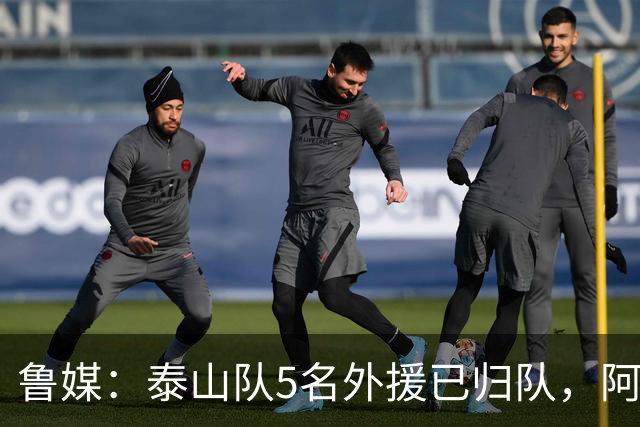 鲁媒：泰山队5名外援已归队，阿尔瓦罗6月份复出难度比较大
